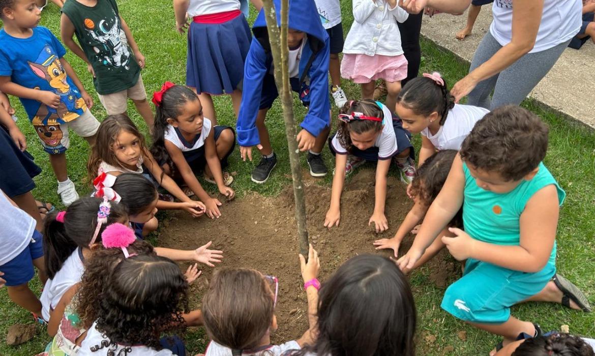 Árvores que estavam danificando prédios escolares são substituídas por espécies diferentes