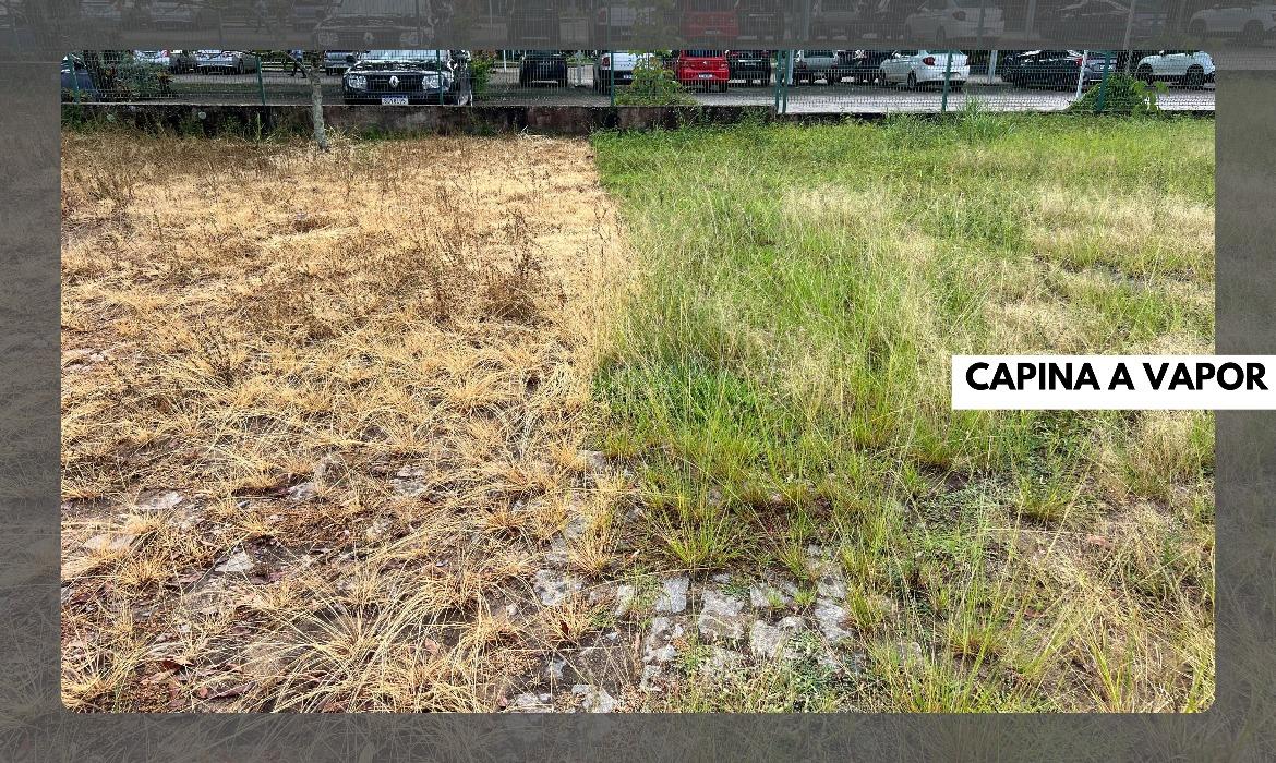 Capina a vapor: Serviços Urbanos busca soluções modernas para aprimorar limpeza pública