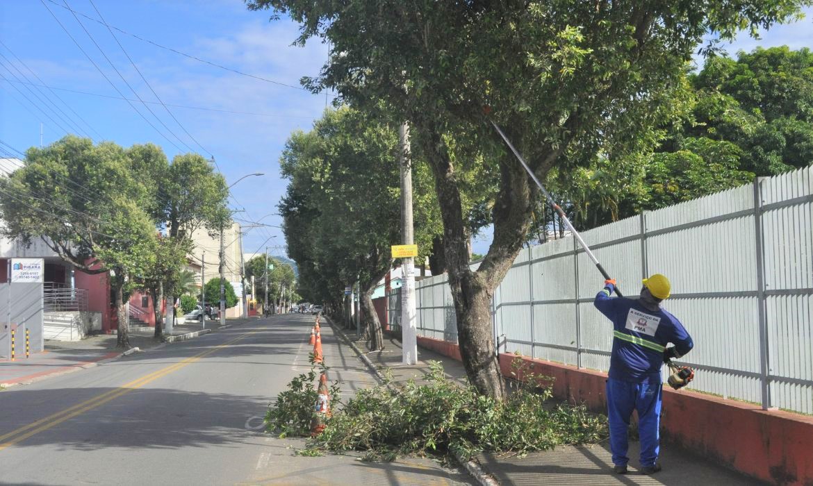 Meio Ambiente: serviços de poda e corte de árvores continuam dentro do cronograma