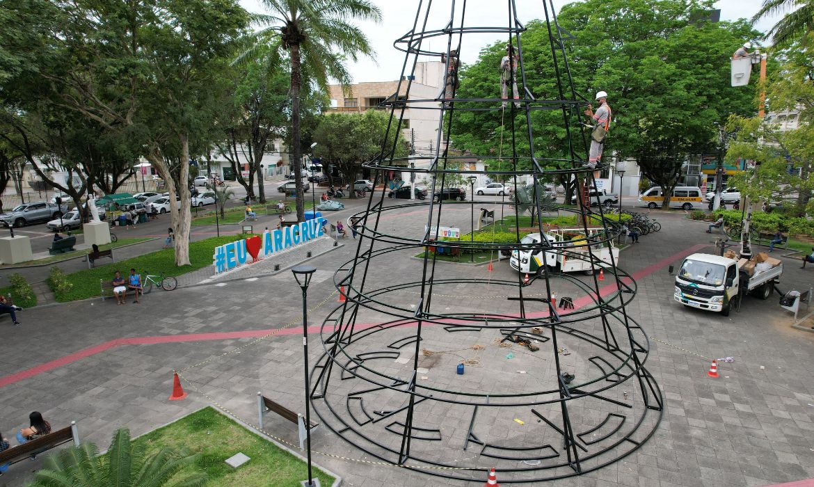 Montagem da árvore de Natal