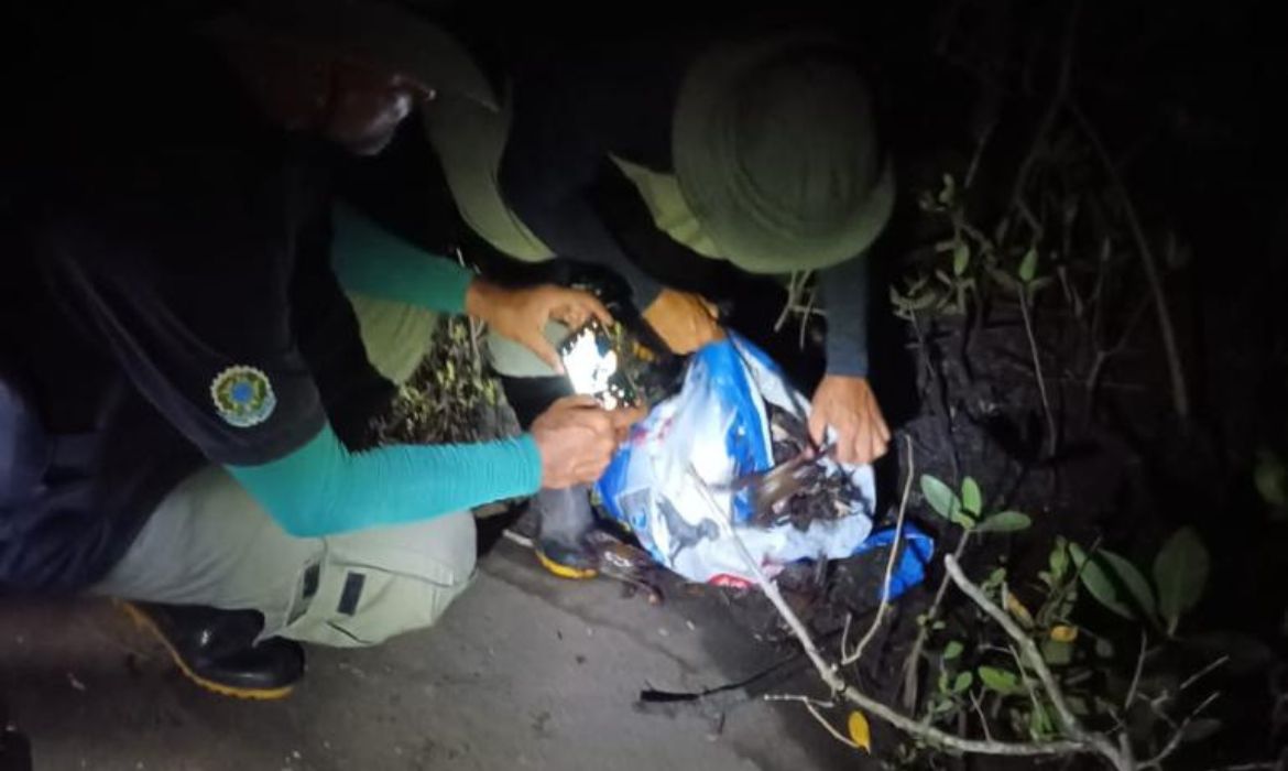 Operação apreende caranguejos capturados em período de defeso