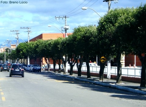 Prefeitura apoia projeto da Escelsa de plantio de árvores