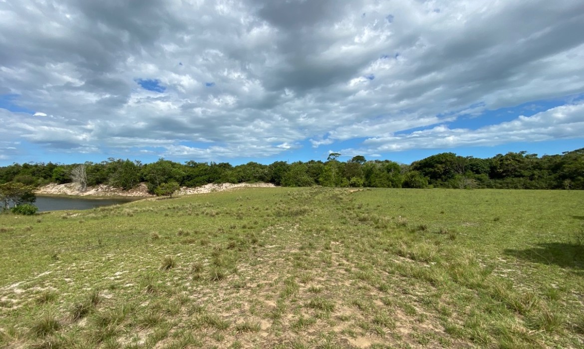 Importância das Unidades de Conservação para o município de Aracruz